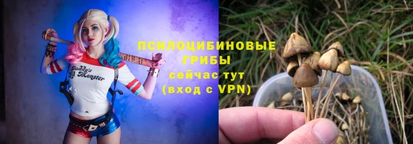 хмурый Новодвинск