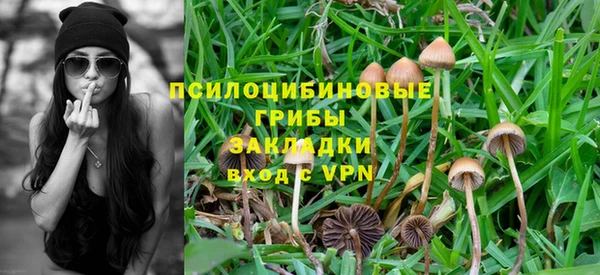 дживик Абинск