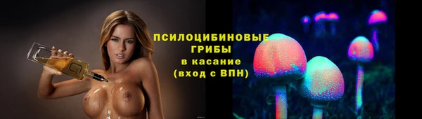 дживик Абинск