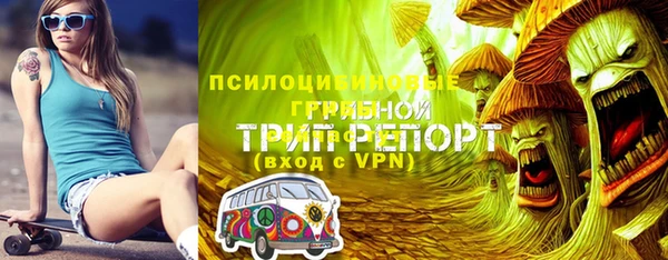 ешки Абаза