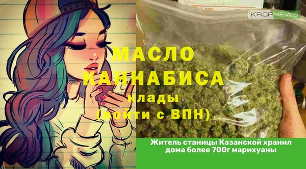 дживик Абинск